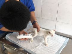 -畜牧兽医站(共江路店)