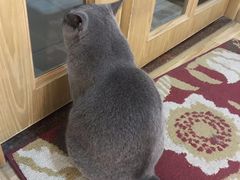 -壹人壹像工作室(购物公园店)