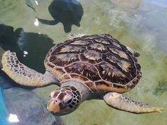 -福州罗源湾海洋世界旅游区