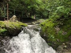 -关门山森林公园