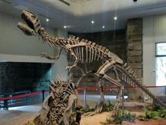 -自贡恐龙博物馆