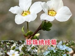 -国家植物园