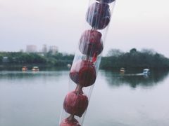 -秀丽东方