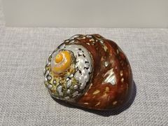 -中国（海南）南海博物馆