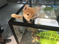 -百盛(莘庄店)