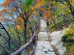 -秦岭终南山世界地质公园翠华山景区