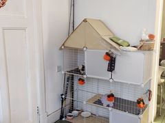 -大象厨房(重庆道店)