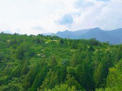 -白水寺森林公园