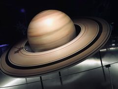 -贝林大翅鲸简餐厅(国家海洋博物馆店)