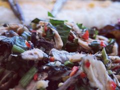 -金塔傣乡·云南民族特色菜·傣味手抓饭(金瓦路店)