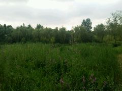 android_upload_pic-新江湾城公园