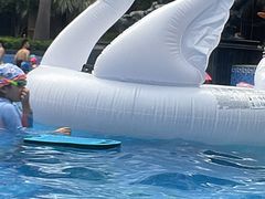-上海浦东星河湾酒店