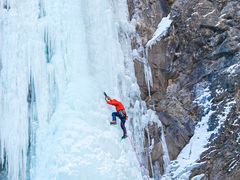 -成都泰迪熊博物馆