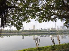 -南宁南湖公园