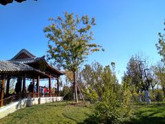 -天津东丽湖风景区