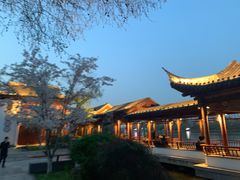 -Beans Solo豆号咖啡(百家湖花园店)