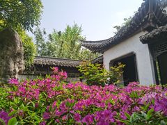 -河下古镇