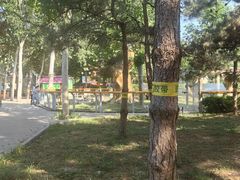 -辛玛王国游乐园