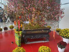 -河内内排国际机场