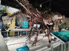 -国家自然博物馆