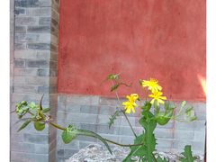 -北京上方山国家森林公园