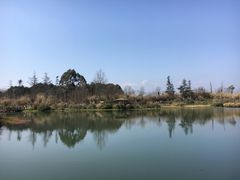 -桤木河湿地公园