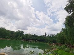 -雲记卢妈冷锅串串(中道街总店)