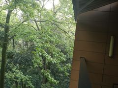 -拾溪餐厅·包厢(杭州千禧度假酒店)