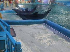 -蓬莱欧乐堡海洋极地世界