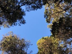 -天龙八部武侠城