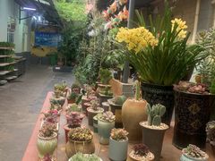 -阳光山水江湖菜馆(西山龙门店)