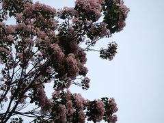 -漕溪路(地铁站)