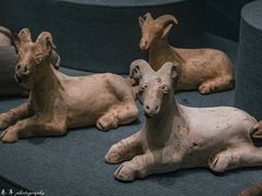 -广西壮族自治区博物馆