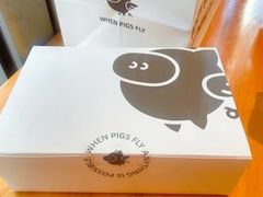 -WHEN PIGS FLY当猪飞