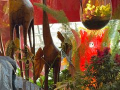 -懒人盐府人家·自贡大麻鱼(安贞店)