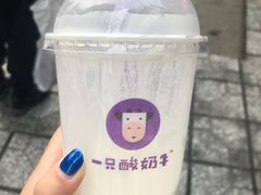 -一只酸奶牛(八一路店)