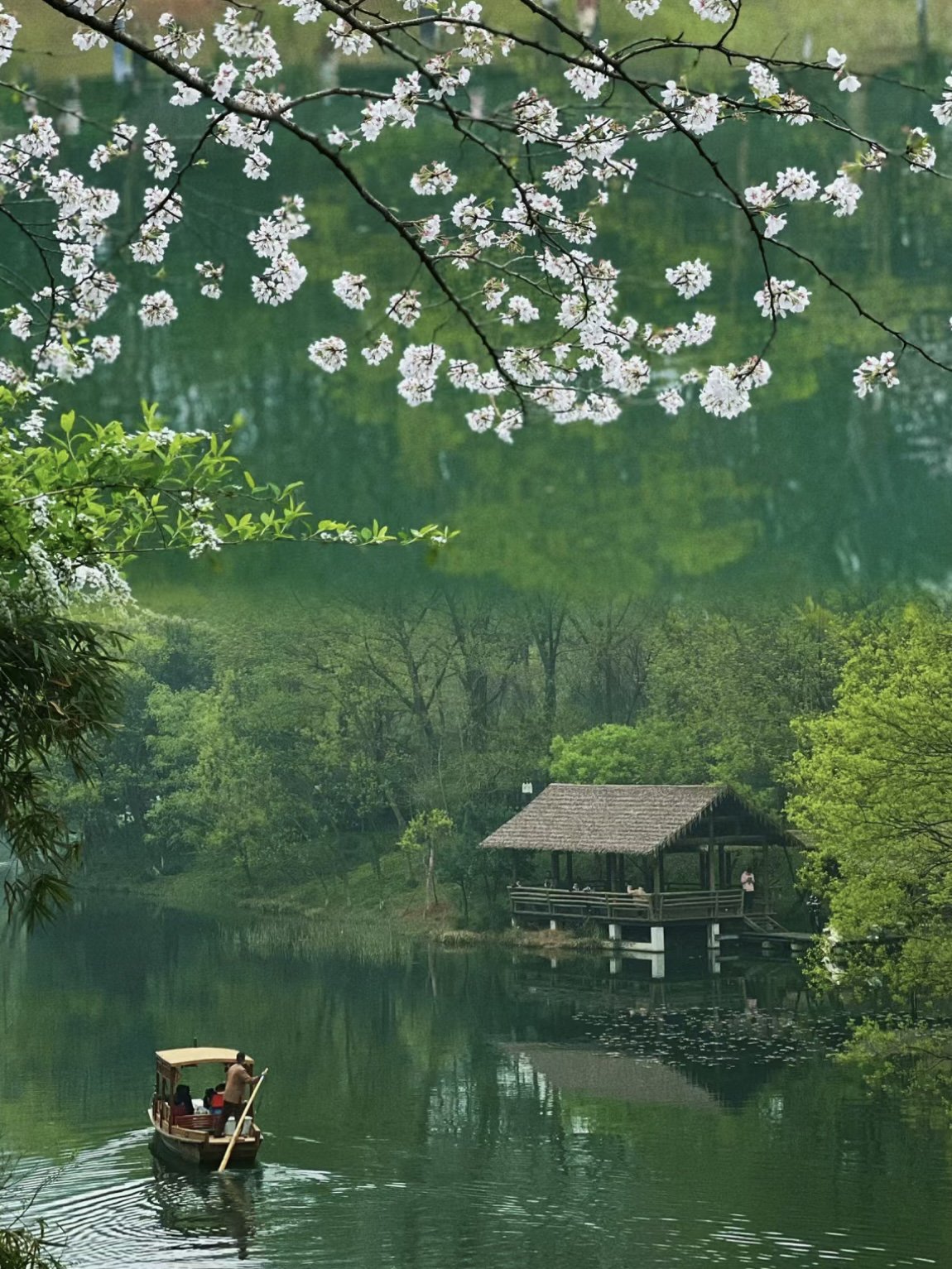 杭州三四月份去哪玩(杭州4月适合游玩的地方)