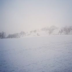-大秃顶子山