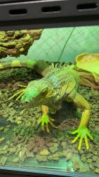 -Zoolung Zoolung动物主题公园(海信广场店)