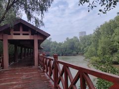 -大亚湾红树林城市湿地公园