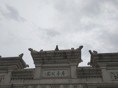 -野狸岛
