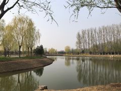 -东郊湿地公园