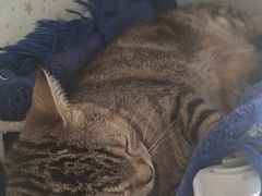 -呷哺呷哺(哈尔滨红博购物广场店)