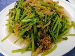 茼蒿炒海蜇-林之六八·6886大连老菜馆