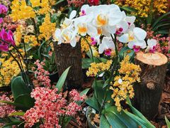 -国家植物园南园