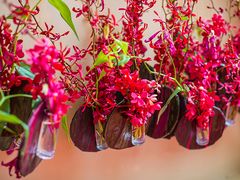 2014820165492295-玉环福朋喜来登酒店