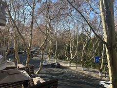 -杭州西湖桔子水晶酒店