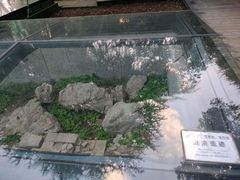 -中山公园
