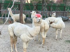 -广州融创文旅城