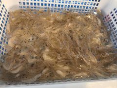 -碧海银沙海鲜餐厅(恒大海上威尼斯店)